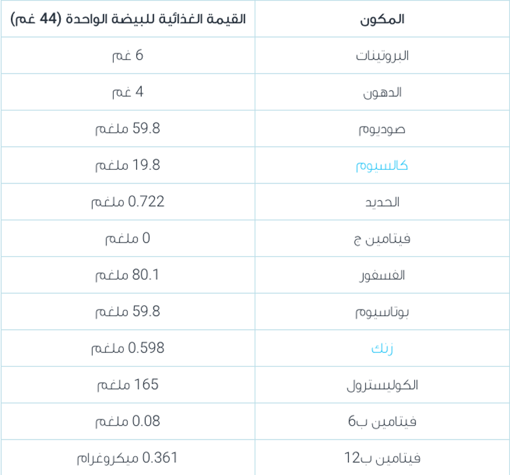 كم جرام بروتين في البيض