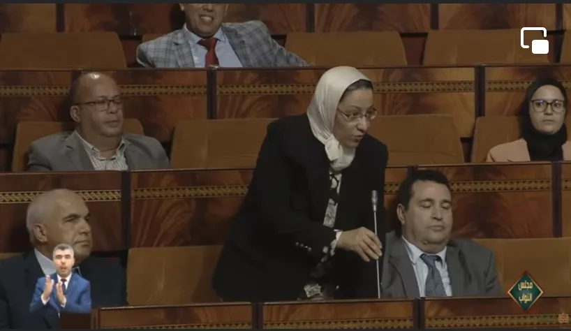 مليكة الزخنيني: ورش النقل البحري بقي من الأوراش المسكوت عنها ويجب وضع خطة للنهوض بالقطاع